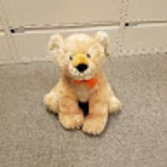 Meet your Posher, Cynthia - Picture 1 of 1